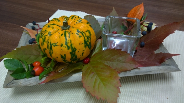 WP_20150924_12_16_16_Pro (600x338)