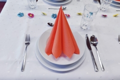 IMG-20210705-WA0004