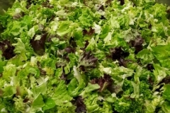 20190606_085321 (338x600)