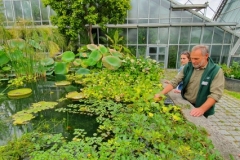 IMG-20190606-WA0130 (600x284)