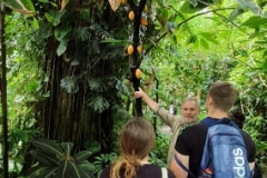 IMG-20190606-WA0150 (284x600)