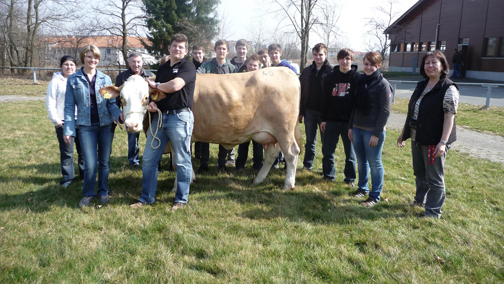Zuchtviehversteigerung in Bayreuth - wir waren dort