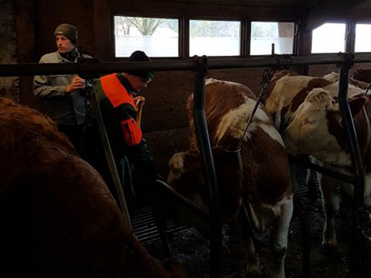 bsz_bayreuth_lernort_betrieb_2017-2018_01