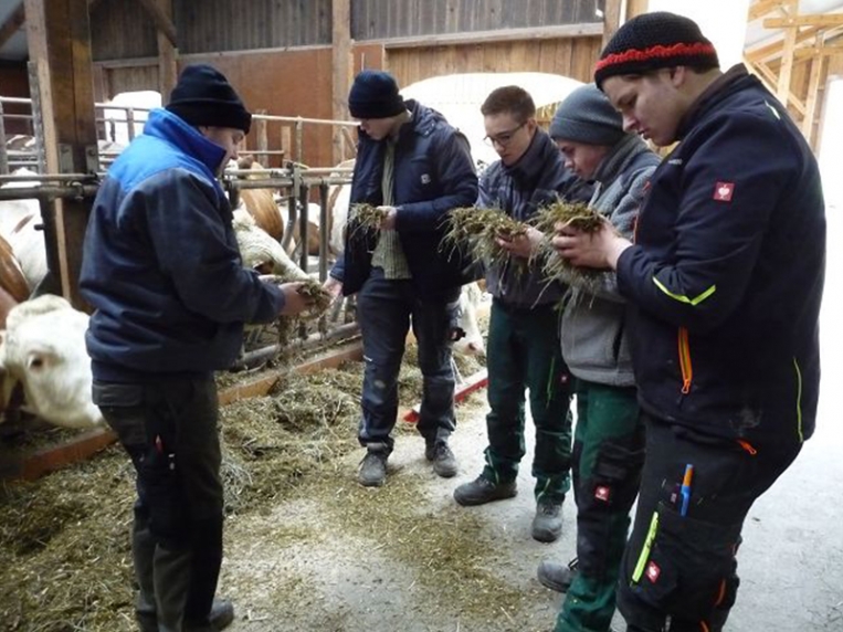 bsz_bayreuth_lernort_betrieb_2017-2018_07