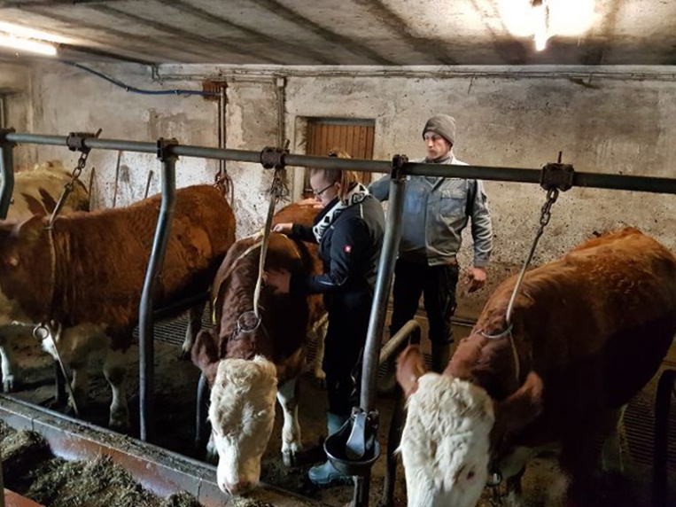 bsz_bayreuth_lernort_betrieb_2017-2018_13