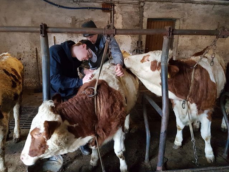 bsz_bayreuth_lernort_betrieb_2017-2018_14